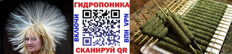 Канабис Bruce Banner Тюмень